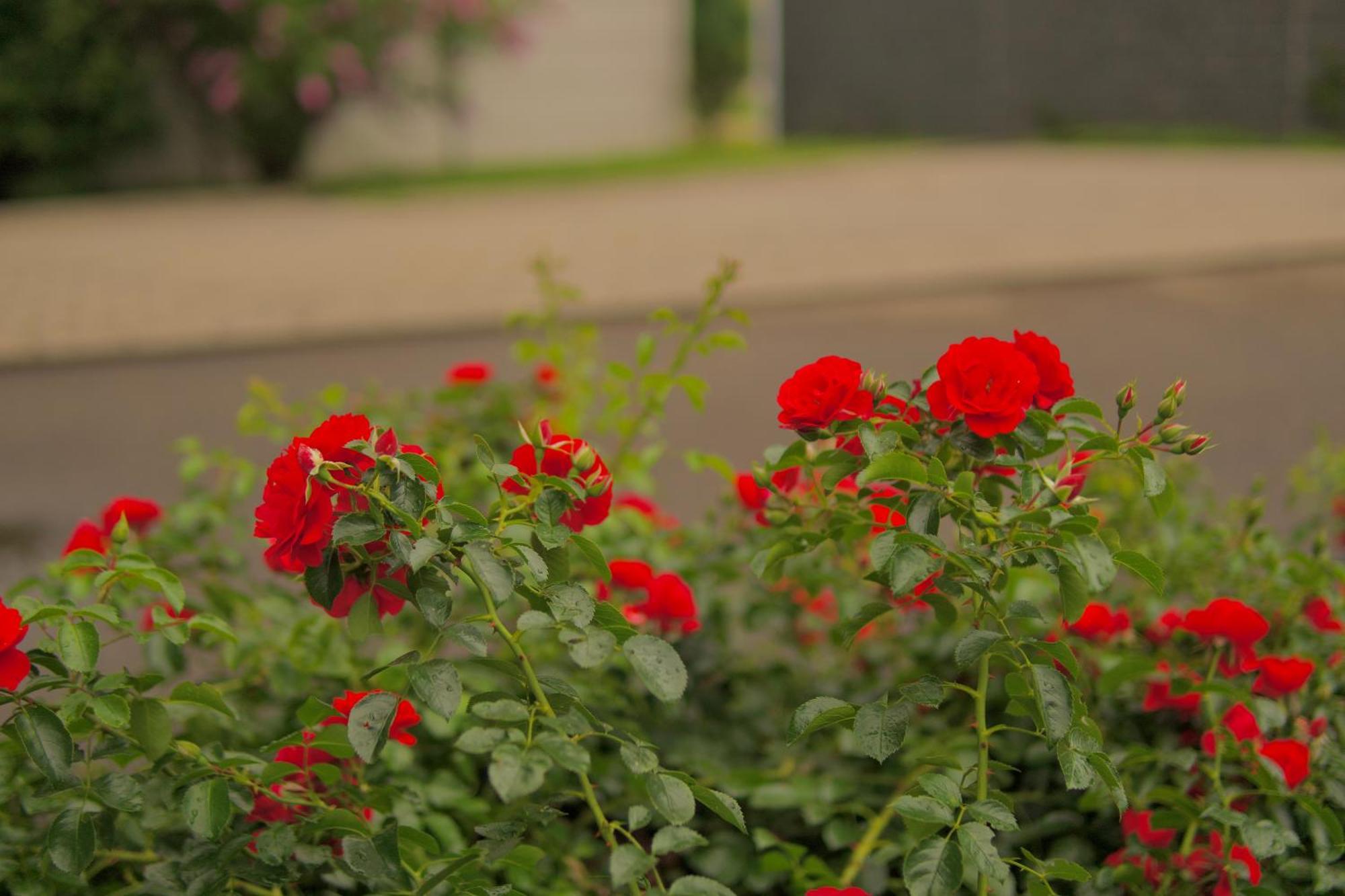 Bed & Breakfast Outlet Hotel Dettingen an der Erms エクステリア 写真