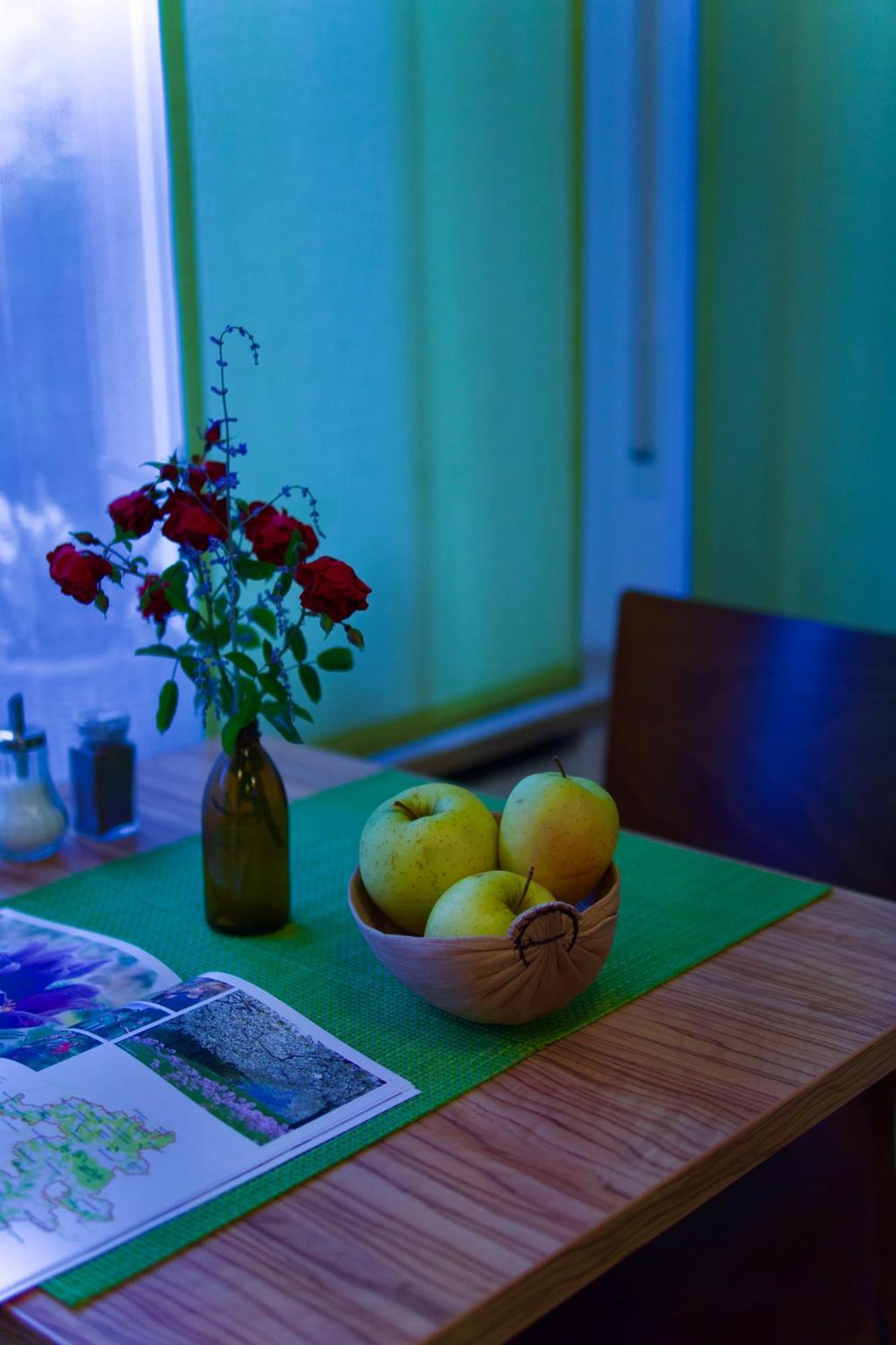Bed & Breakfast Outlet Hotel Dettingen an der Erms エクステリア 写真